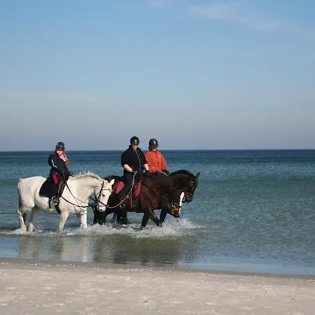 Prázdninový dům Ostseestrand *